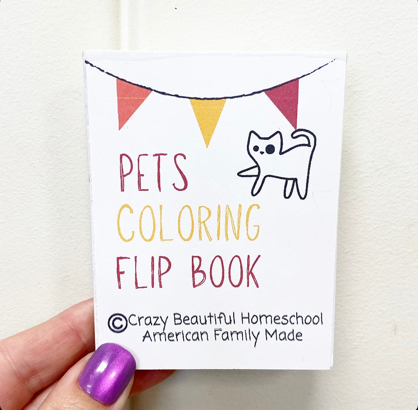 Mini Coloring book Bundle of 6.